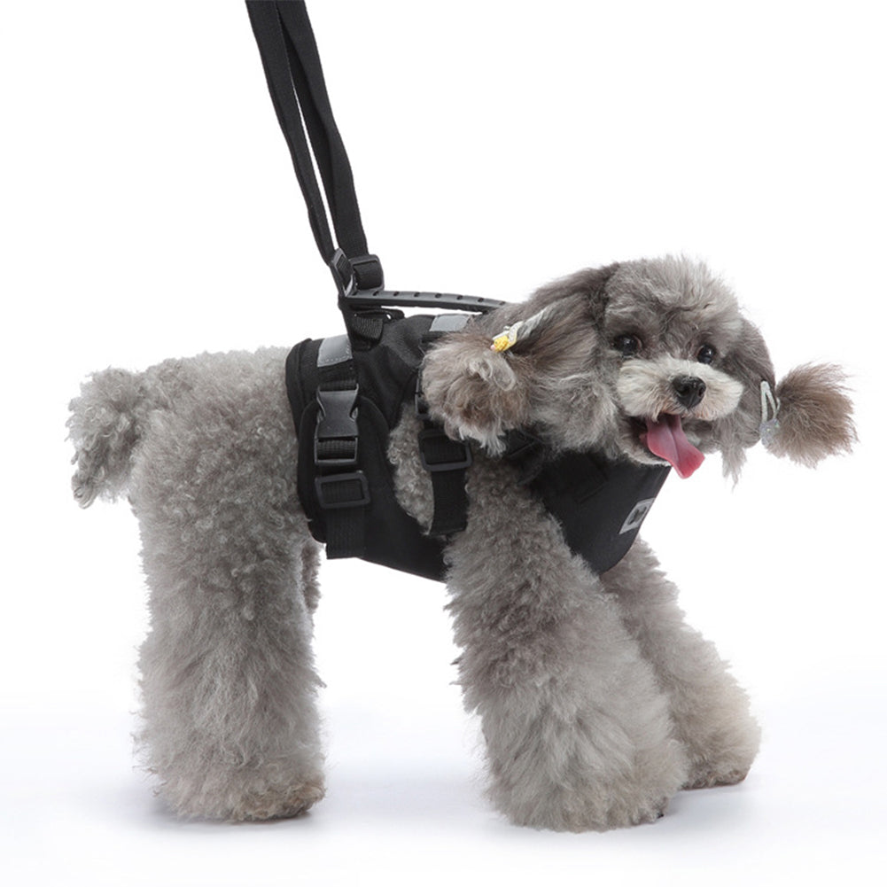 Dog Lift Harness Multi-functional Pet Chest Support Lifting Aid Dog Sling With Handle For Old Disabled Joint Injuries Dogs Walking STXB01 black S