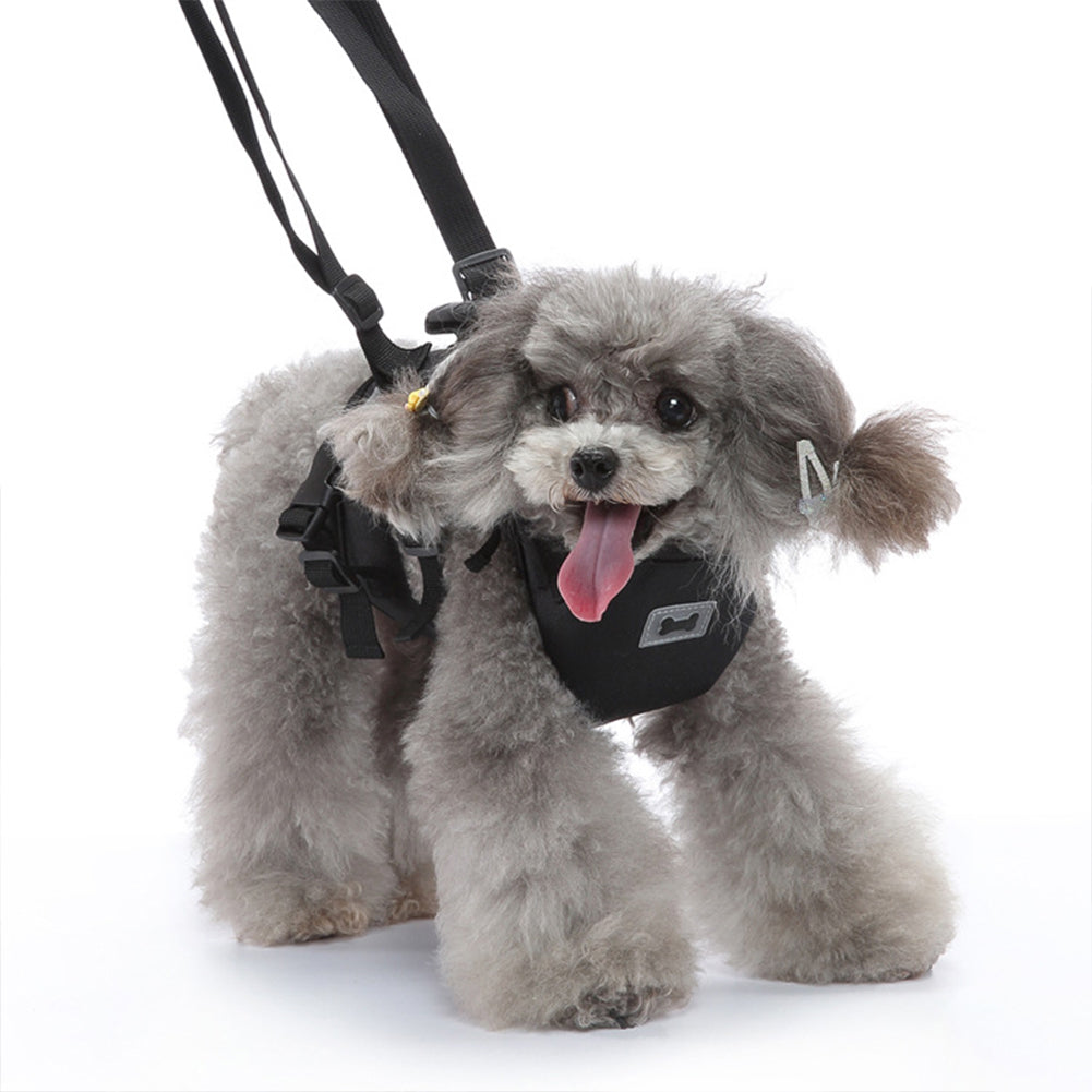 Dog Lift Harness Multi-functional Pet Chest Support Lifting Aid Dog Sling With Handle For Old Disabled Joint Injuries Dogs Walking STXB01 black L