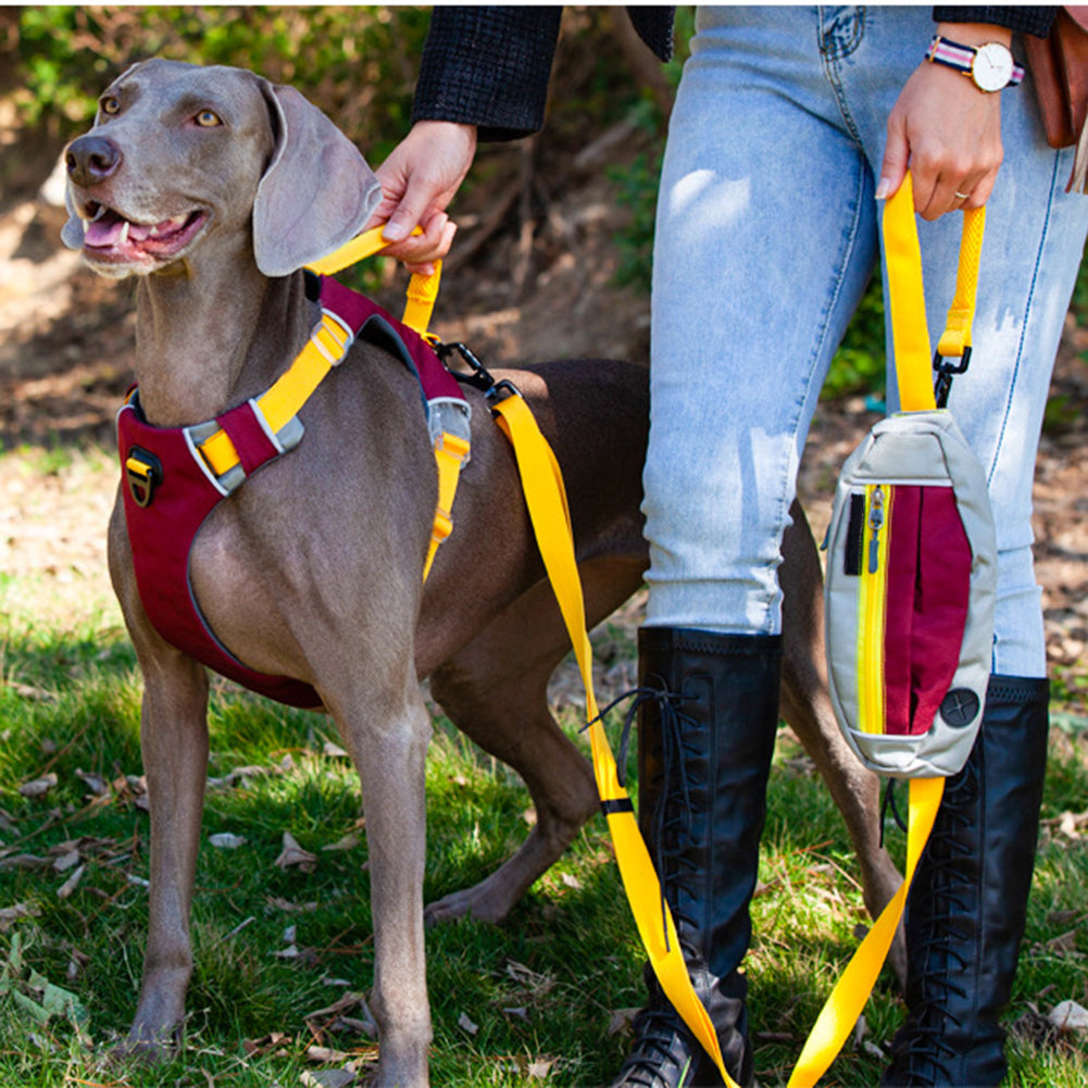 Premium Dog Leash Adjustable Length Handle Bungee Leash With Pouch For Walking Hiking Jogging Biking Running Green pink (traction rope) traction ropes: 1.3-2m