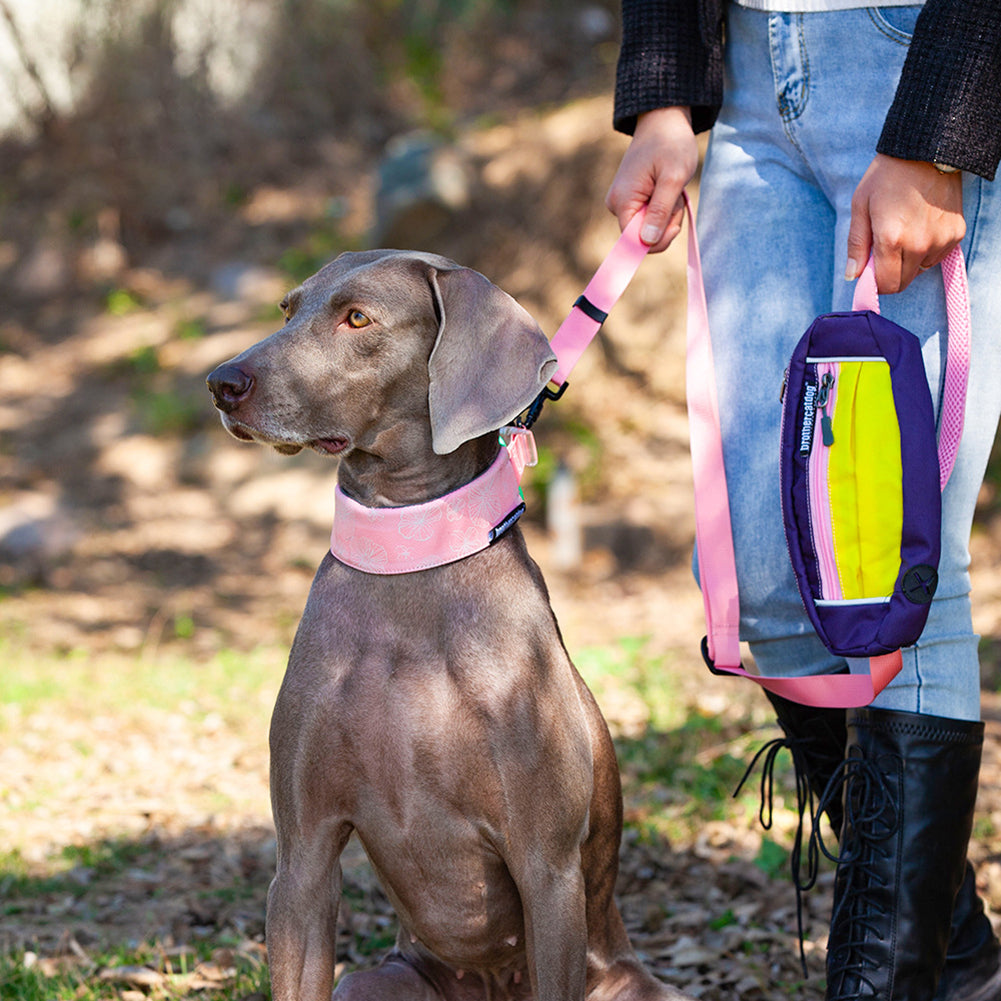 Premium Dog Leash Adjustable Length Handle Bungee Leash With Pouch For Walking Hiking Jogging Biking Running Green pink (traction rope) traction ropes: 1.3-2m