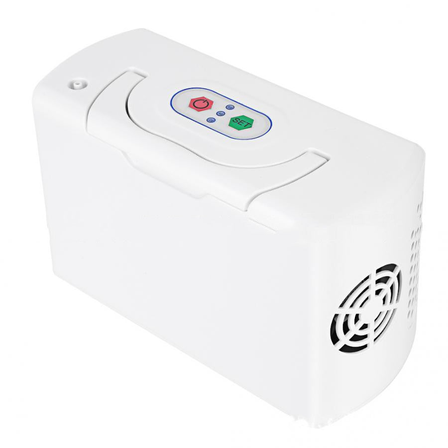 Oxygen Concentrator Portable Air Purifier Vehicle