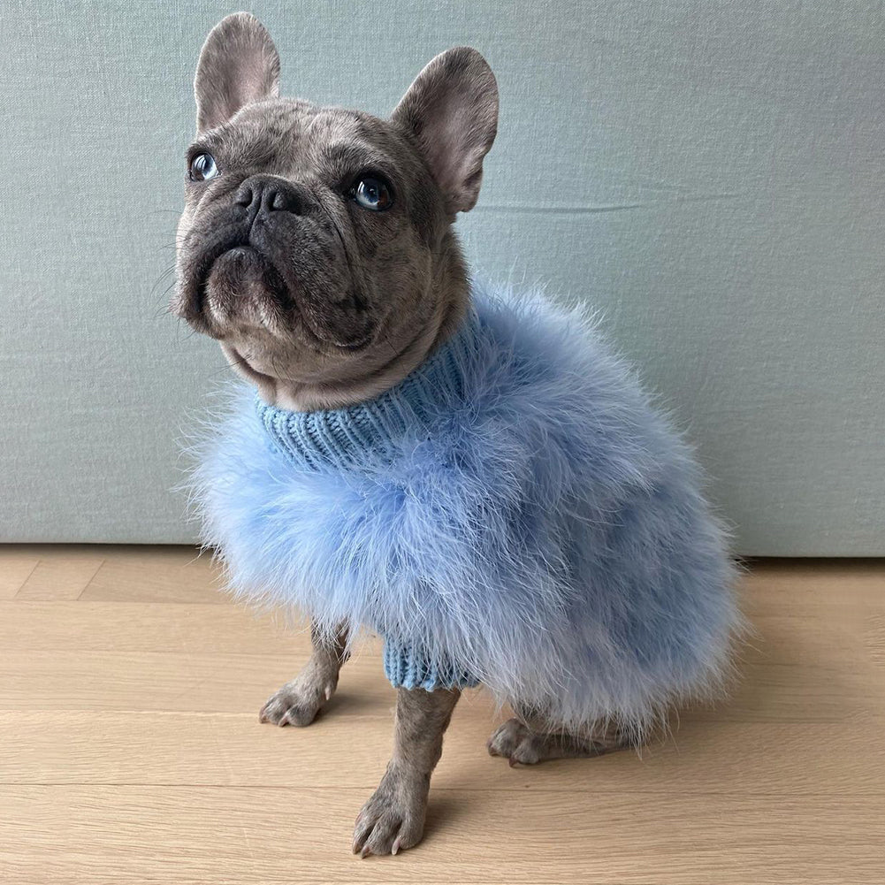 Ladies Turkey Winter Warm Sweater Soft Comfortable Pet Clothes Pets Cosplay Costume For Small Medium Large Dogs light blue XL