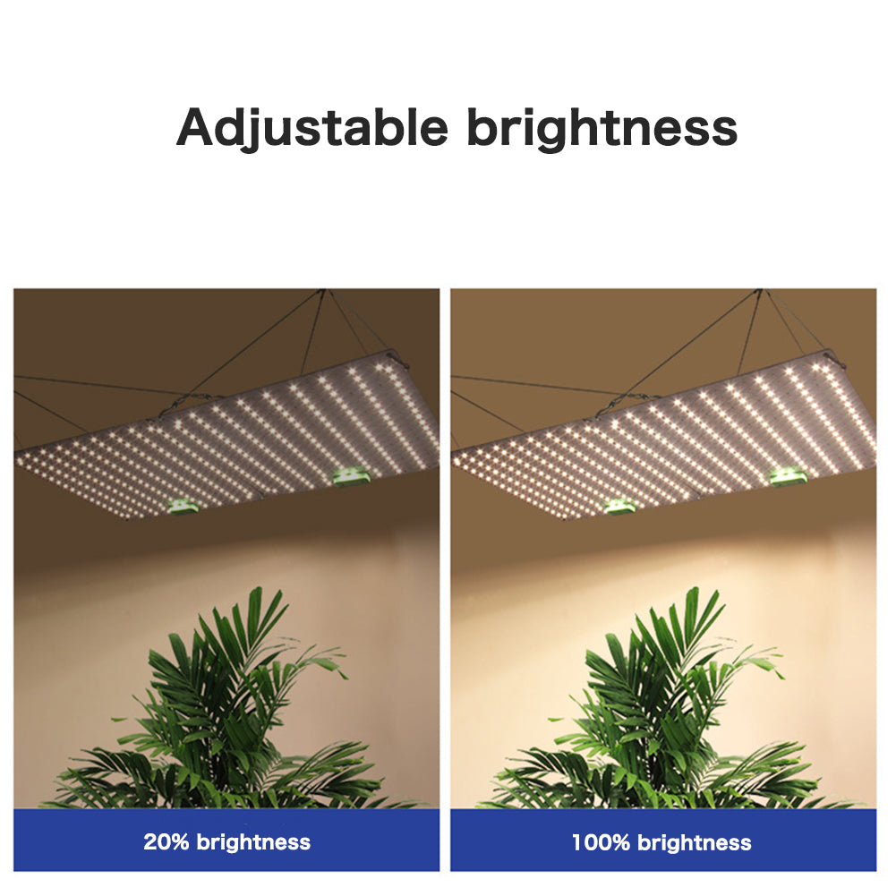 60W LED Quantum Board Plant Grow Light Full Spectrum Dimming Timer Succulents Growing Lights For Indoor Plants US Plug flat plug