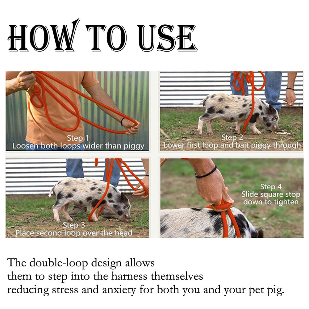 Double Headed Mini Pig Harness Leash Adjustable Heavy Duty Pet Supplies For Daily Walking Training Jogging grey