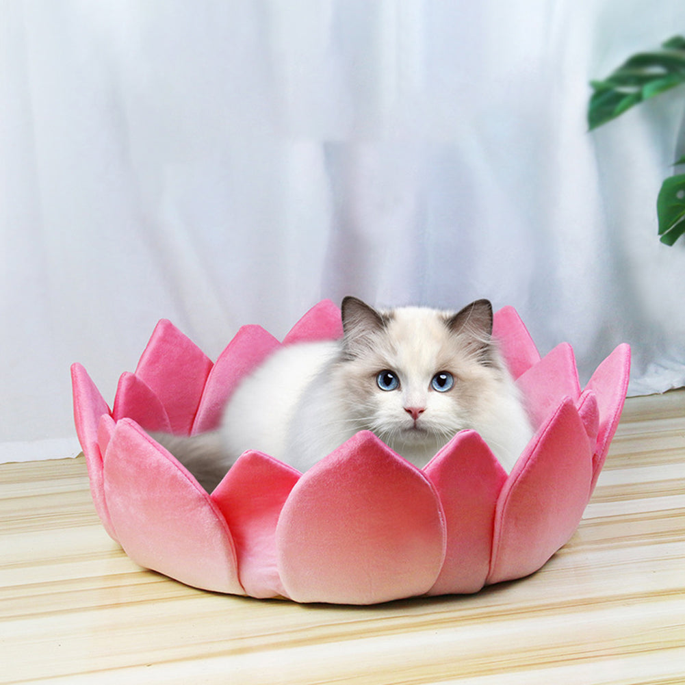 Lotus Shaped Cat Sofa With 17CM Raised Petals Wear-resistant Anti-Scratch Cat Scratching Board Pet Supplies For Indoor Cats (30 x 30cm) lotus cushion small