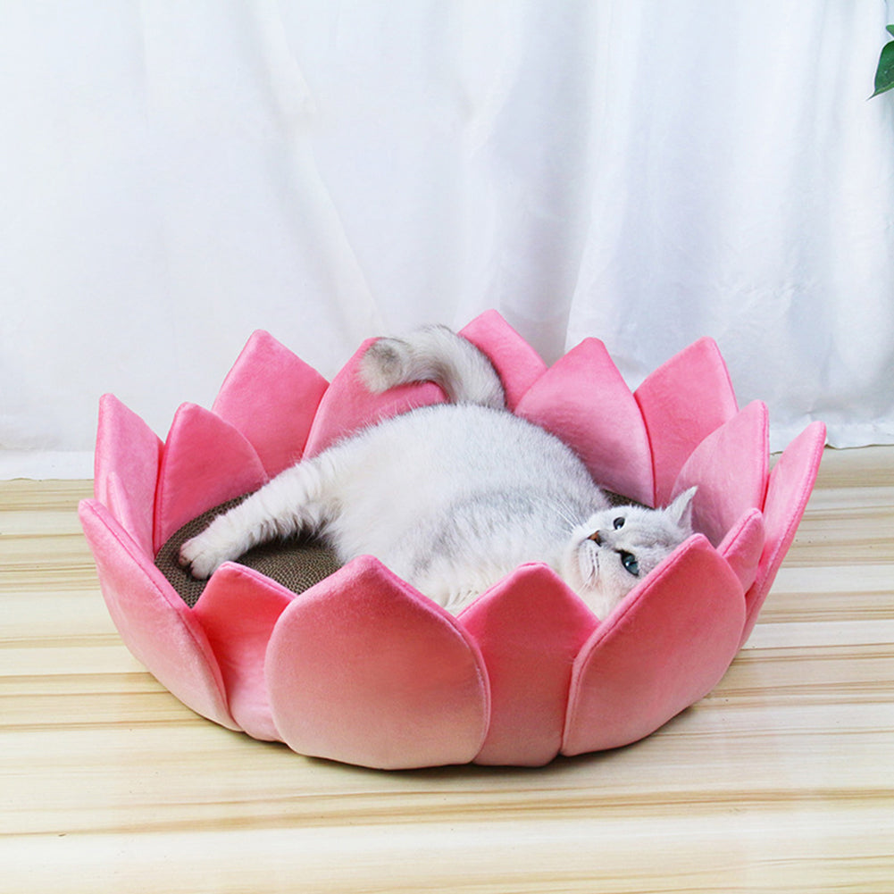 Lotus Shaped Cat Sofa With 17CM Raised Petals Wear-resistant Anti-Scratch Cat Scratching Board Pet Supplies For Indoor Cats (30 x 30cm) lotus cushion small