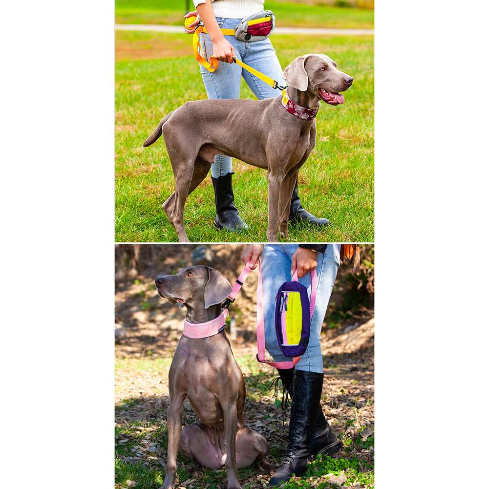 Premium Dog Leash Adjustable Length Handle Bungee Leash With Pouch For Walking Hiking Jogging Biking Running Green pink (traction rope) traction ropes: 1.3-2m