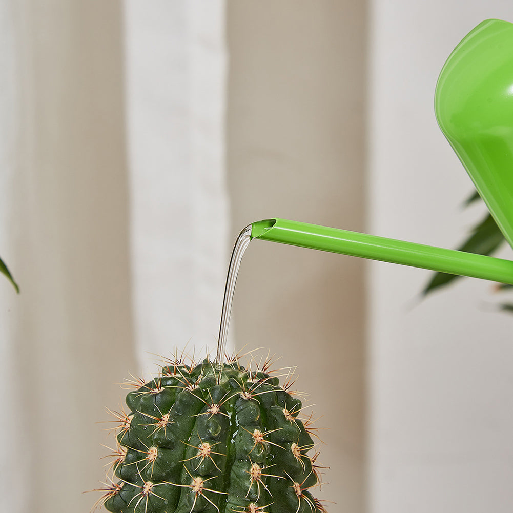 Watering Can For Indoor Plants Comfortable Handle Long Spout Water Can Capacity 300ML Spouted Watering Kettle black