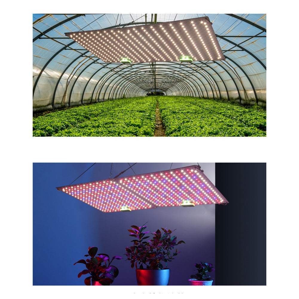 60W LED Quantum Board Plant Grow Light Full Spectrum Dimming Timer Succulents Growing Lights For Indoor Plants EU Plug round plug