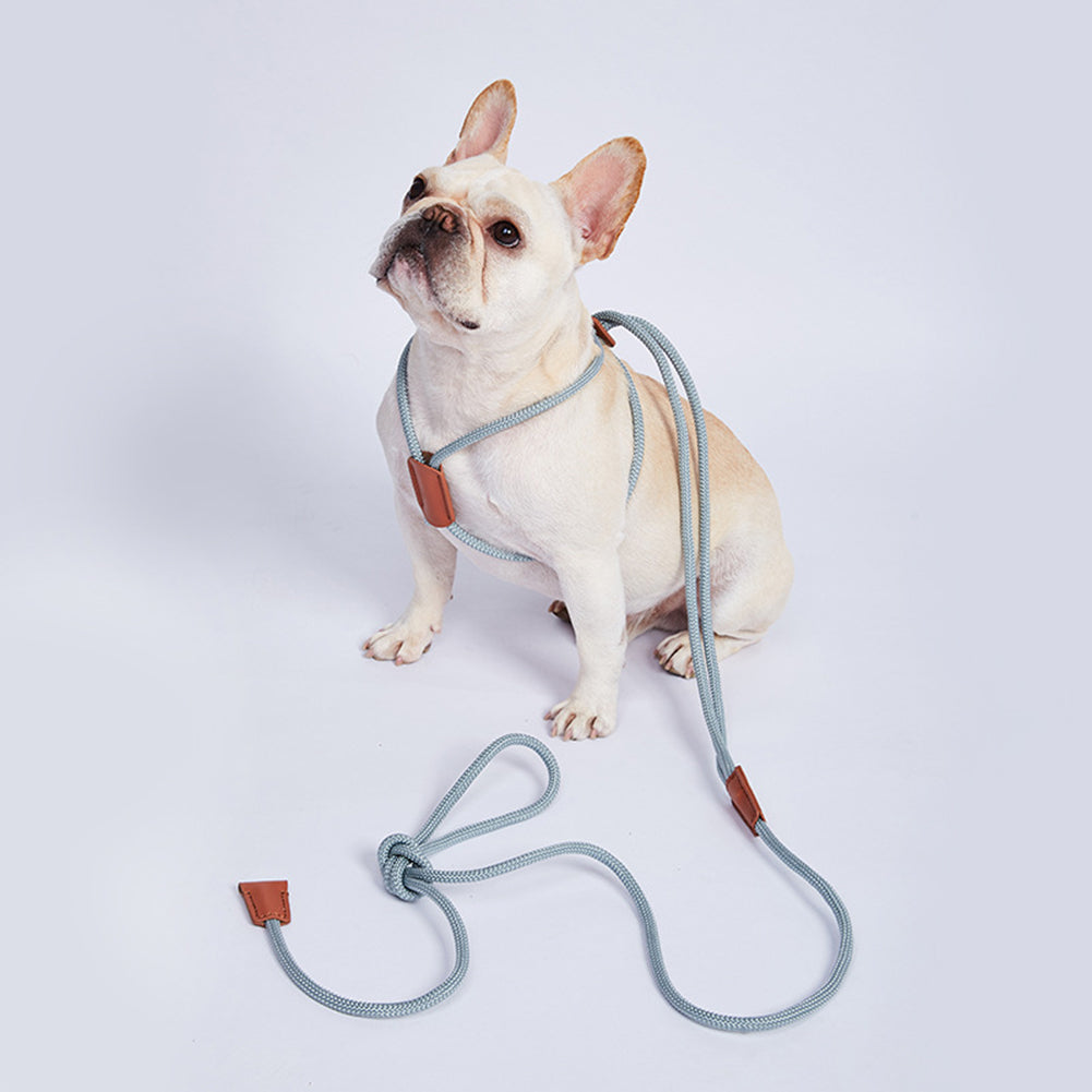 Double Headed Mini Pig Harness Leash Adjustable Heavy Duty Pet Supplies For Daily Walking Training Jogging grey